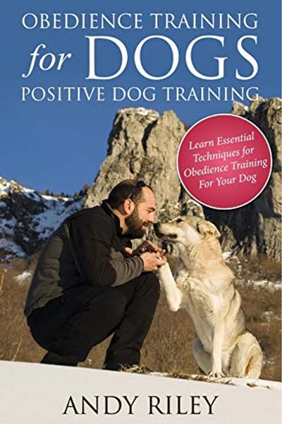 Ingram Obedience Training For Dogs Positive Dog Training