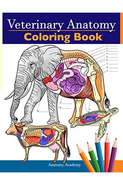 Ingram Veterinary Anatomy Coloring Book Animals Physiology Selfquiz Color Workbook For Studying And Relax
