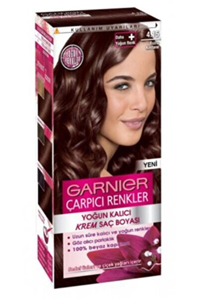 Garnier Çarpıcı Renkler 4.15 - Buzlu Kestane Saç Boyası - 2 Adet