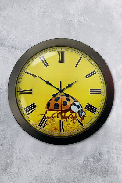 Kasva Concept 36 cm Black Metal Ladybug Wall Clock