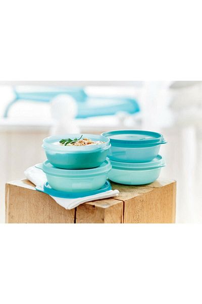 Tupperware Refrigerator Turquoise 300 ml 4-Pack Storage and Serving Containers - Candy Containers