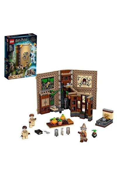 LEGO Harry Potter Herbolgy Lesson 76384