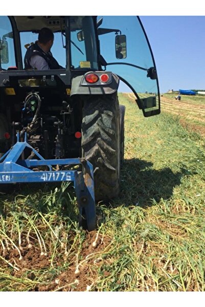 Man10ya Ata Tohum Taşköprü Sarımsak