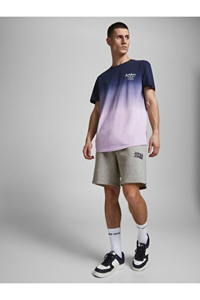 Jack & Jones Erkek Gri Jjnewsoft Şort 12186787