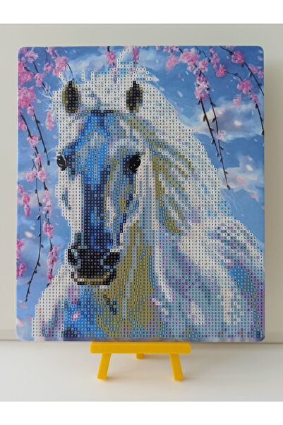 MENTAŞ Elmas Boyama Boncuklu Goblen Elmas Taşlı Mozaik Kristal Taşlı Sayılarla Boyama Goblen Puzzle 21x25