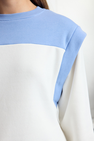 Trendyol Collection Tlustá vnitřní mikina Color Block Fleece – modrá, Regular Fit TWOAW25sw00175