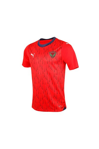 Puma Men's Football Away Jersey - Red Jersey Hty 77881402