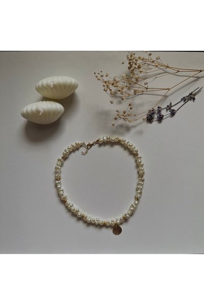Vola Collection Handmade Pirinç Üzeri Altın Kaplama Dorika Deniz Kabuklu Kadı...