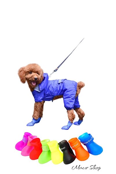 Mıncır Shop Kedi ve Köpek Pati Ayakkabısı, Silikon Kaymaz Taban Cırt Cırtlı P...