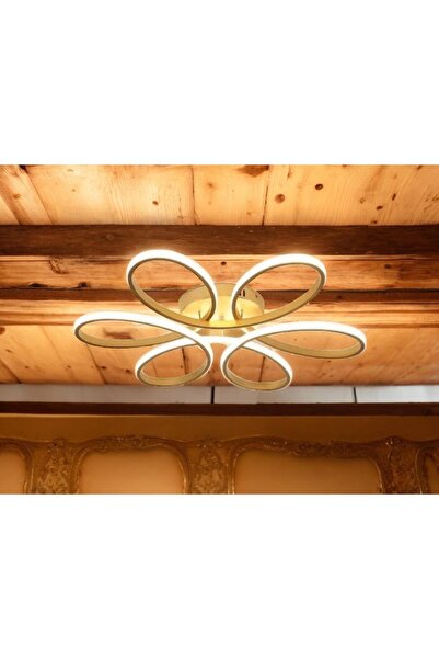 KRAYDINLATMA KR Avize Dünyası Papatya Gold Beyaz Led Plafonyer Modern Avize