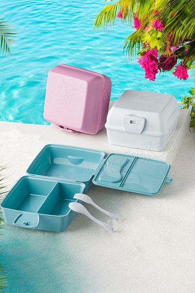 KaktüsKedi Set of 3 Compartmented Lunch Box - Food Carrying and Storage Container