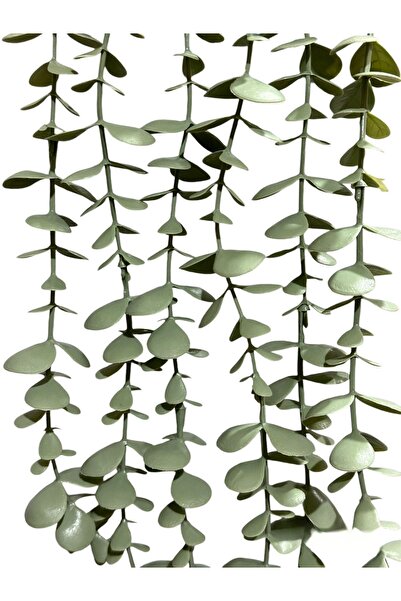 Lilac Home Fejka Siyah Elmas Saksı Içerisinde Pastel Okaliptus Sarkan