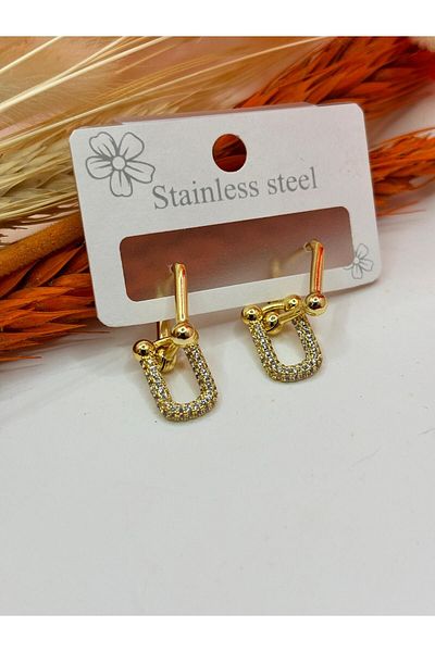 crown atelier Brand Model Steel Earrings