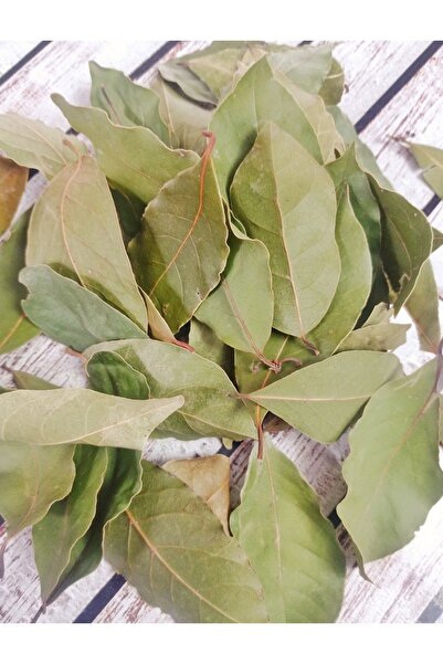Defne Yaprağı ( Kurutulmuş) 30 GR