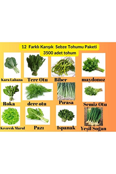 Bade Shop 12 Çeşit Sebze Tohum Paketi - Maydanoz, Tere, Roka, Dereotu ,soğan,ıspanak ,marul,biber,Pırasa,pazı