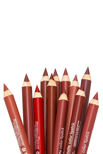 AİLY COSMETİCS Rose 12'li, Kalın, Kalemtraşlı Mat Dudak Kalemi Seti