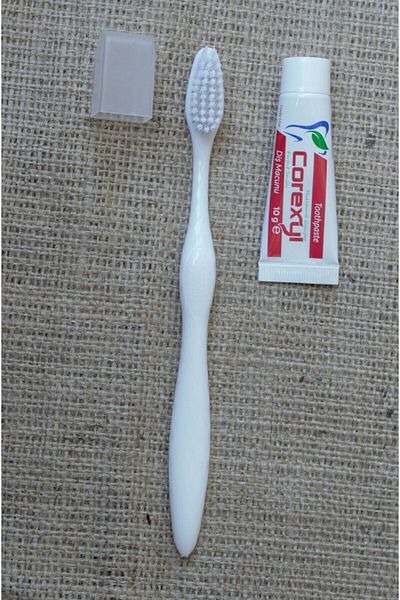PazarPazartesi 250 Pieces of Toothbrush Set with Lid Hotel Type Toothbrush and 10 gr Toothpaste Pack of 2