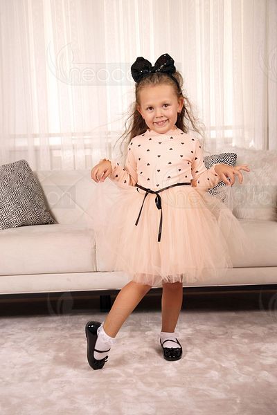 neocotton Baby Girl-Child Long Sleeve Heart Tulle Lined Dress for Birthdays and Special Occasions