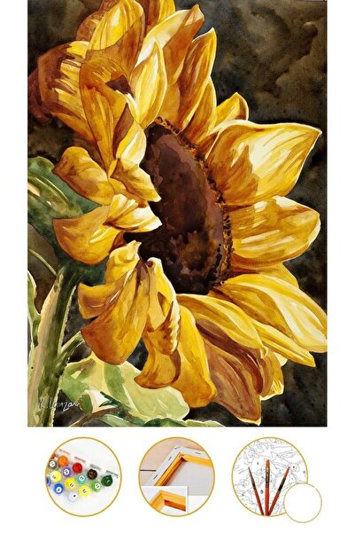Puzzle Sayılarla Boyama TUVAL ÇERÇEVELİ GERİLMİŞ BOYA FIRÇA HEDİYELİ AY ÇİÇEĞİ