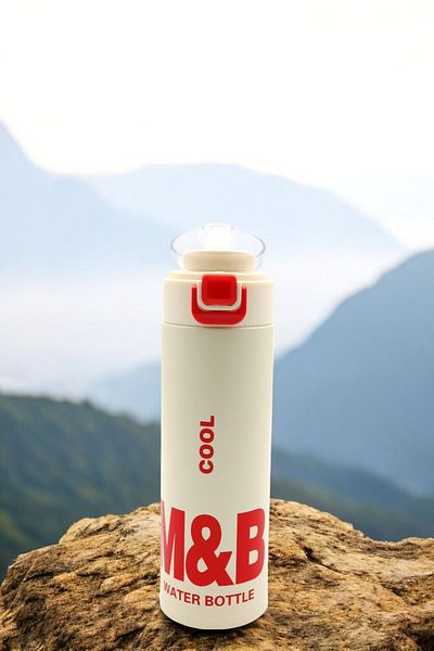M&B WATER BOTTLE Vita 600 ml Stainless Steel Thermos - Daily Sports Outdoor Camping Hot Cold Leakproof Flask