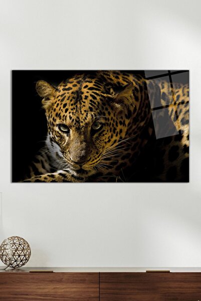 Vosevu Vahşi Leopar Portresi Cam Tablo, Modern Ev Ofis Dekoru, Hediyelik Duva...