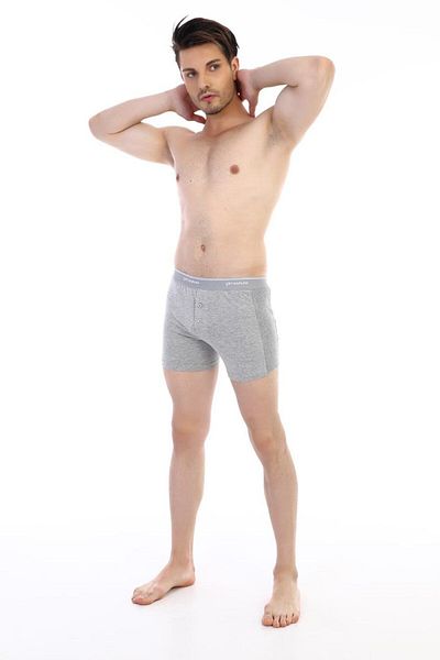 Çift Kaplan Men's Elastane Piping Gray Melange Boxer Shorts 0880