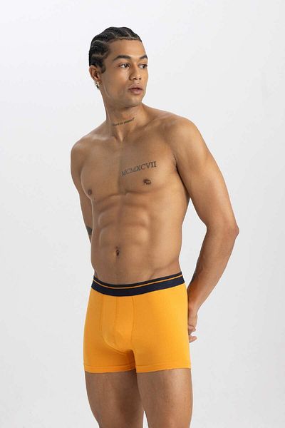 DeFacto Regular Fit 3 Boxers A3158ax24sm