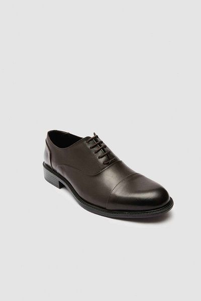 D'S Damat Brown Classic Leather Shoes