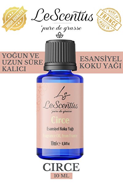 lescentus CIRCE EsansiyelKoku Yağı Buhurdanlık Difüzör Mum Sabun Hobi Esansı ...