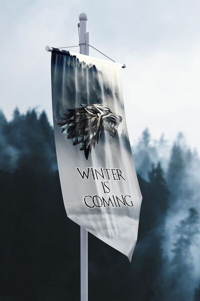 Vagonik Game of Thrones Winter is Coming Flama Bayrak