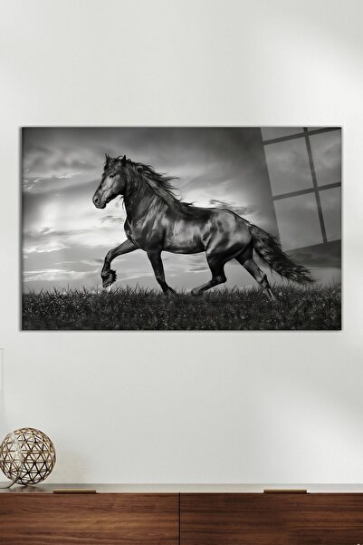 Vosevu Siyah Beyaz Koşan At Cam Tablo, Modern Ev ve Ofis Dekoru, Hediyelik Du...