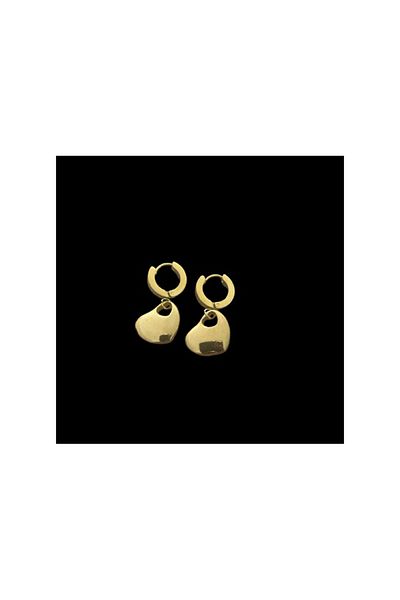 Aleda Pendent Heart Steel Earrings