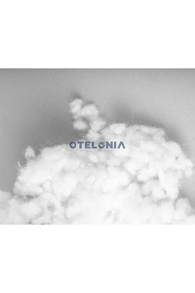 Otelonia 5 Pieces Micro-touch Bead Silicone Pillow 850gr
