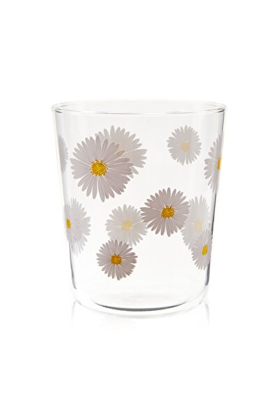 Rakle Fiona 4'lü Bardak Seti - Şeffaf - 315 ml