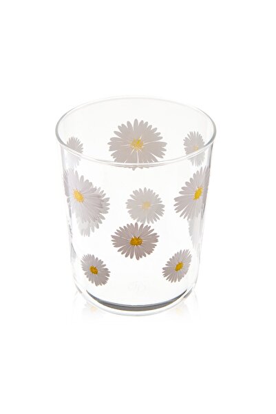 Rakle Fiona 4'lü Bardak Seti - Şeffaf - 315 ml
