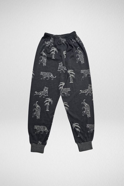 DAPSEE Children's Pajama Set with Tiger Pattern