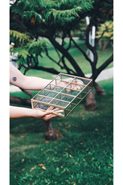El Crea Designs 30x20x6cm 10 Bölmeli Pirinç Gold Cam Kapaklı Organizer Kutu T...