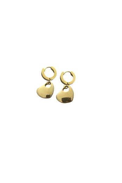 Aleda Pendent Heart Steel Earrings