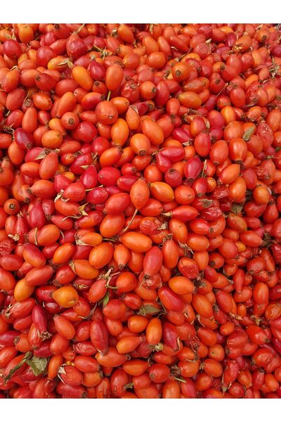 CANLAR TAZE KUŞBURNU 1KG
