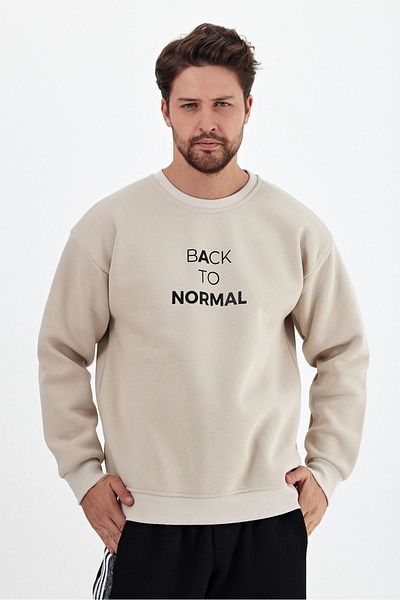 THE RULE Ανδρικό φούτερ σε μπεζ Oversize Crew Neck με στάμπα μαλακό φτερωτό
