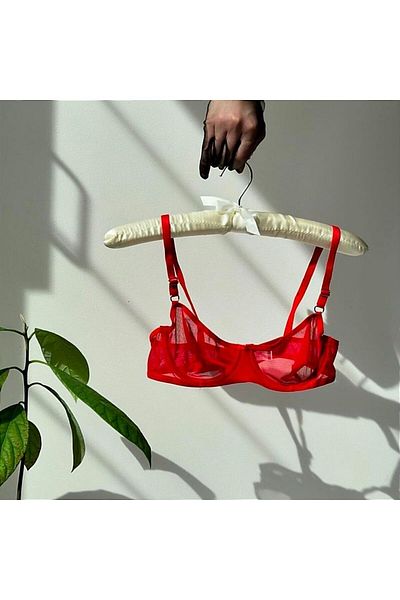 Snowdrop Red Transparent Tulle Underwire Bra Set