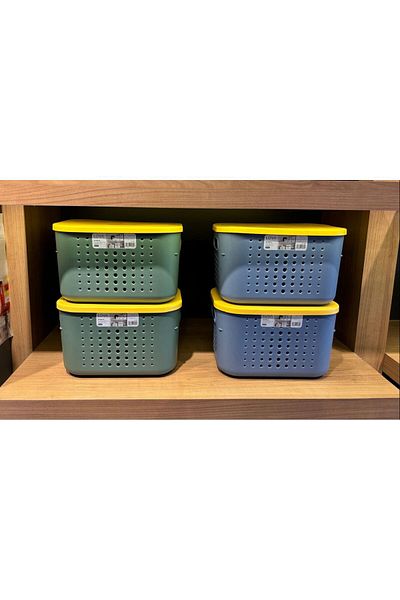 Bayev 2 Pieces 6.2 Liter Multi-Purpose Closet Organizer Box with Bubble Lid