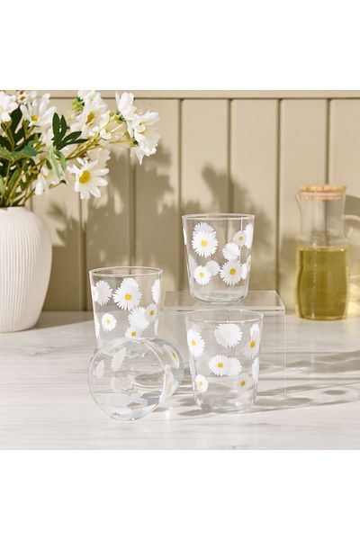 Rakle Fiona Transparent Glass Set of 4 - 315 ml