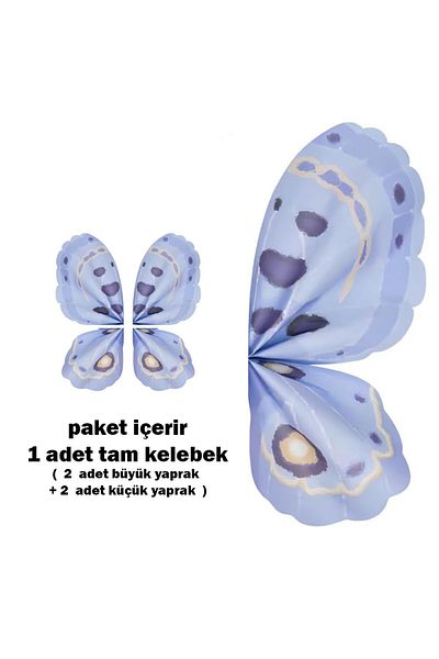 ELA 2024 Trend Blue Korean Butterfly Flower Packaging