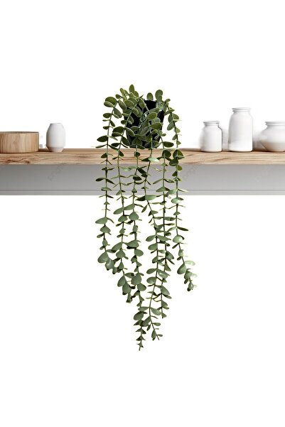 Lilac Home Fejka Siyah Elmas Saksı Içerisinde Pastel Okaliptus Sarkan