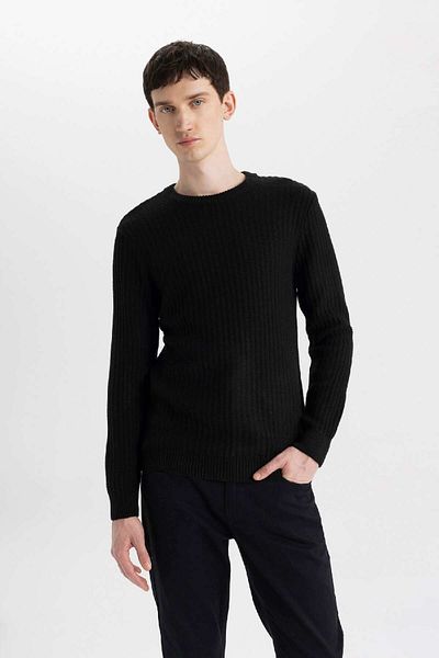 DeFacto Standard-Passform, normaler Schnitt, Rundhalsausschnitt, Jacquard-Strickpullover, A5234ax24wn