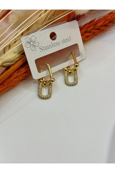 crown atelier Brand Model Steel Earrings