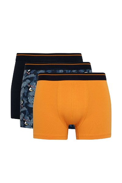 DeFacto Regular Fit 3 Boxers A3158ax24sm