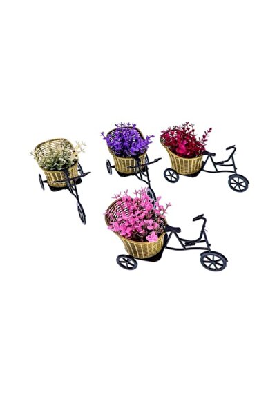RUZGARCİCEK دراجة زخرفية للرياح مع سلة 4 قطع