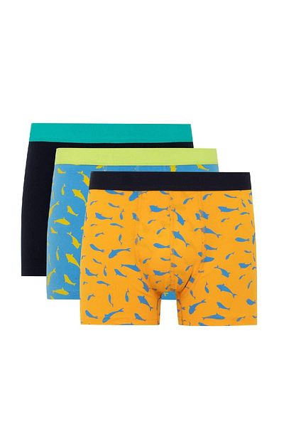 DeFacto Regular Fit 3 Pack Boxers W9686az24sm